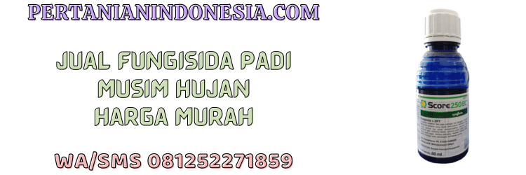 jual,murah,terjangkau,toko pertanian terdekat,pertanian indonesia